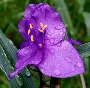 Meet your Posher, Jamie